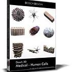 Medical - Human Cells