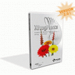 Xfrog Flowers 2
